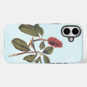 Coques Case-Mate iPhone Bonaparte Moucherolle Canada Paruline Audubon Oise (Verso (horizontal))