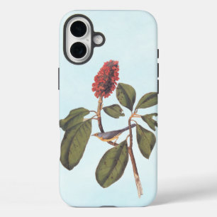 Coques iPhone 16 Plus Bonaparte Moucherolle Canada Paruline Audubon Oise