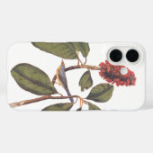 Coques Case-Mate iPhone Bonaparte Moucherolle Canada Paruline Audubon Oise (Verso (horizontal))