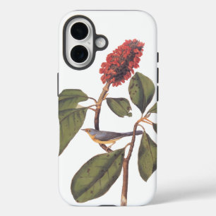 Coques iPhone 16 Bonaparte Moucherolle Canada Paruline Audubon Oise