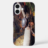 Coques Case-Mate iPhone Bonne tortue (Verso)