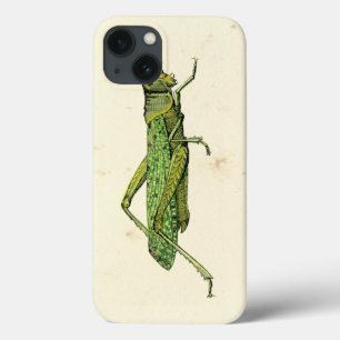 iPhone 13 Case Bordered Print of Green Grasshopper