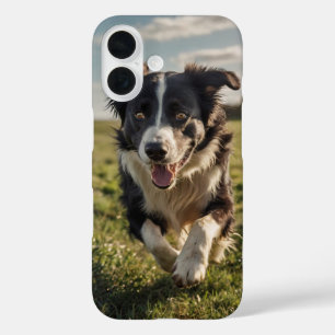 Coques iPhone 16 Bordure Collie Herding