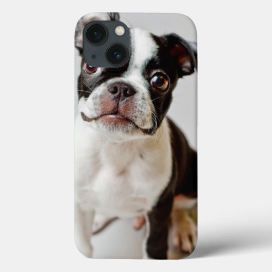 Coques Case-Mate iPhone Boston Terrier (Verso)