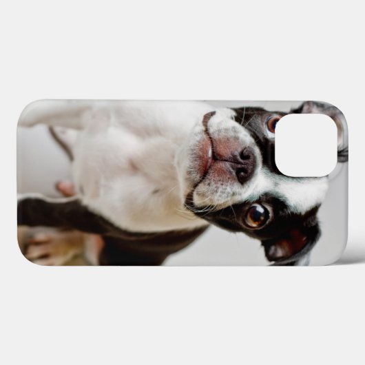Coques Case-Mate iPhone Boston Terrier (Verso (horizontal))