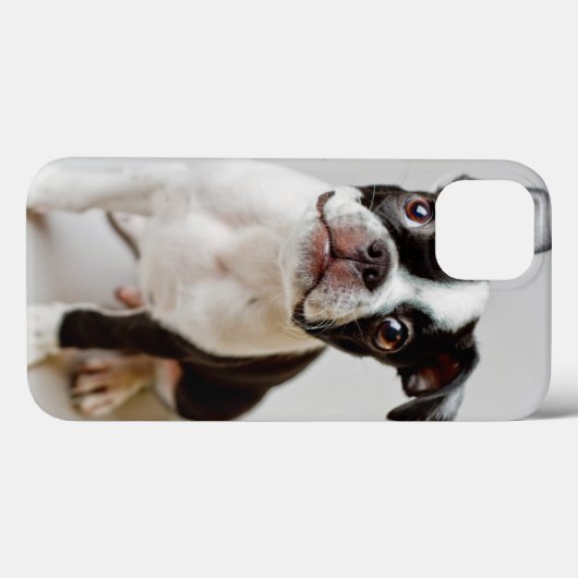 Coques Case-Mate iPhone Boston Terrier (Verso (horizontal))
