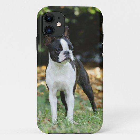 Coques Case-Mate iPhone Boston terrier (Dos)