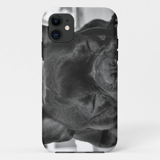 Coques Case-Mate iPhone Bouledogue français (Dos)