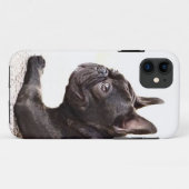 Coques Case-Mate iPhone Bouledogue français (Dos (Horizontal))