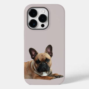 Coque Pour iPhone 14 Pro Bouledogue français Mignon Bouledogue Français