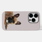 Coques Case-Mate iPhone Bouledogue français Mignon Bouledogue Français (Verso (horizontal))