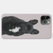 Coques Case-Mate iPhone Bouledogue français Mignon French Bulldog (Dos (Horizontal))