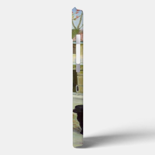 Coques Case-Mate iPhone Boules (Verso / Gauche)