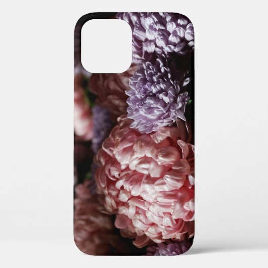 Coques Case-Mate iPhone Bouquet d'aster rose : éclairage baroque. (Verso)
