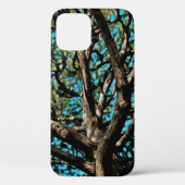 Coques Case-Mate iPhone Branches de chêne (Verso)