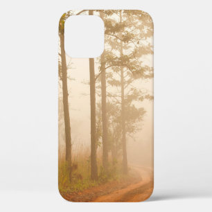Case-Mate iPhone Case Brouillard dans la forêt de pins, beau, noir, fonc