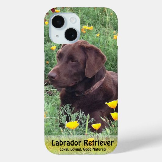 Coques Case-Mate iPhone Brown Labrador Retriever in Poppy Patch (Verso)