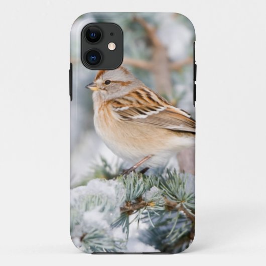 Coques Case-Mate iPhone Bruant hudsonien en hiver (Dos)