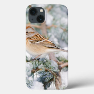 Etui iPhone 13 Bruant hudsonien en hiver