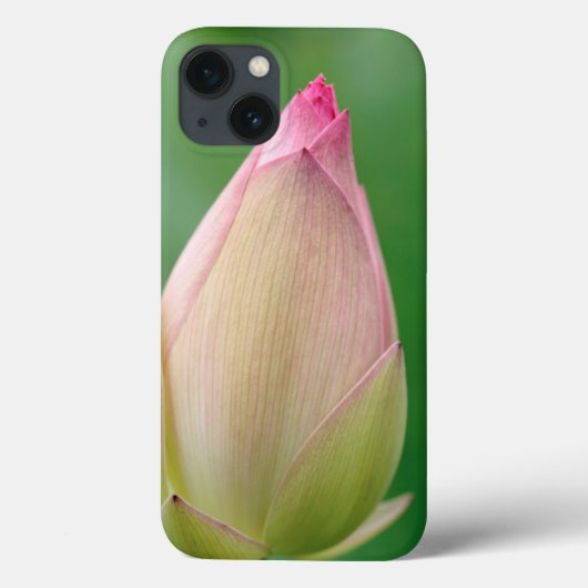 Coques Case-Mate iPhone Bulbe de nénuphar non ouvert, Jardin botanique de (Verso)