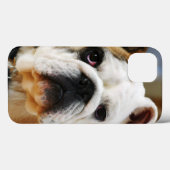 Coques Case-Mate iPhone Bulldog (Verso (horizontal))