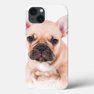 iPhone 13 Case Bulldog