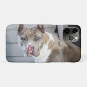 Coques Case-Mate iPhone Bulle de Pitt (Dos (Horizontal))