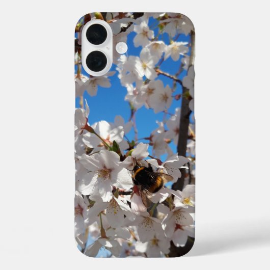Coques Case-Mate iPhone Bumblebee sur la fleur de cerisier sauvage (Verso)