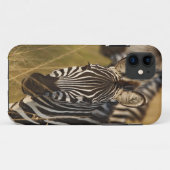 Coques Case-Mate iPhone Burchell's Zebra dans la haute herbe d'été, Masai (Dos (Horizontal))