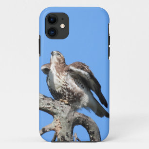 Case-Mate iPhone Case Buse de Harris juvénile