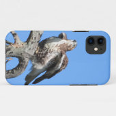 Coques Case-Mate iPhone Buse de Harris juvénile (Dos (Horizontal))