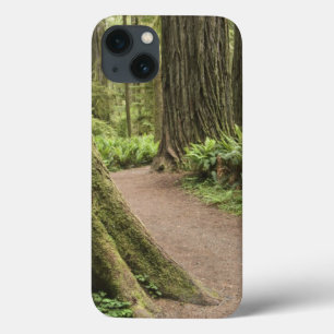 Coques Pour iPhone CA, Jedediah Smith State Park, Simpson-Reed