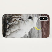 Coques Case-Mate iPhone Cacatoès Soufre-Crêté (Dos (Horizontal))