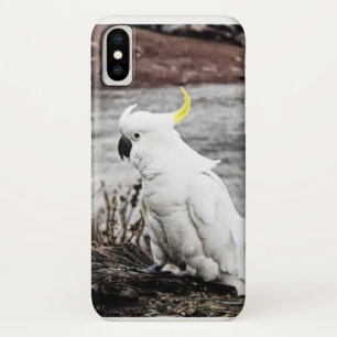 Coques Pour iPhone Cacatoès Soufre-Crêté