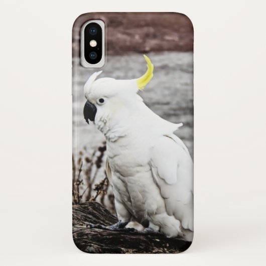 Coques Case-Mate iPhone Cacatoès Soufre-Crêté (Dos)