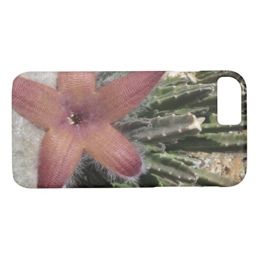 Coques Case-Mate iPhone Cactus (Dos (Horizontal))