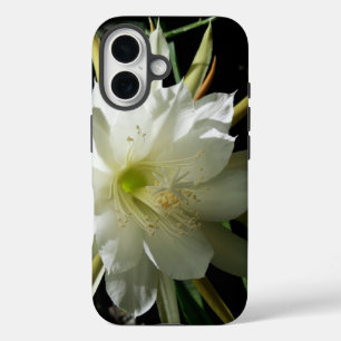 Coques iPhone 16 Cactus Bloom