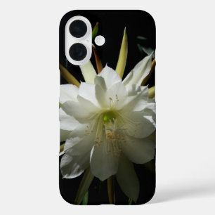 Coques iPhone 16 Cactus Bloom