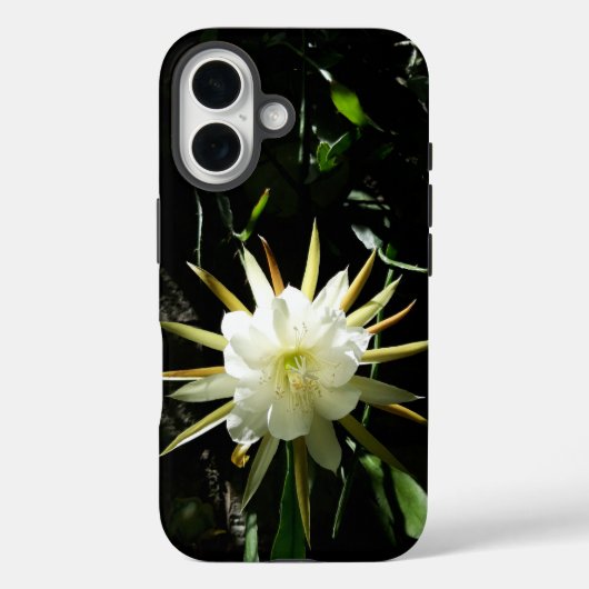 Coques Case-Mate iPhone Cactus Bloom (Verso)