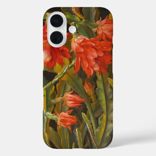 Coques Case-Mate iPhone Cactus de Noël | Christian Möllback (Verso)
