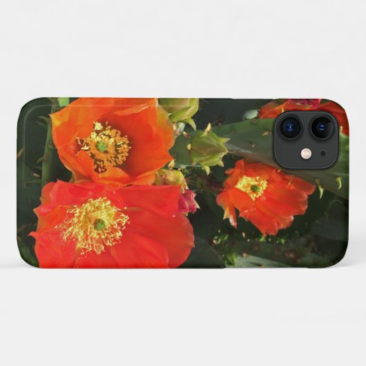 Coques Case-Mate iPhone Cactus Fleur Photo Bright Red Bloom Sud-Ouest (Dos (Horizontal))