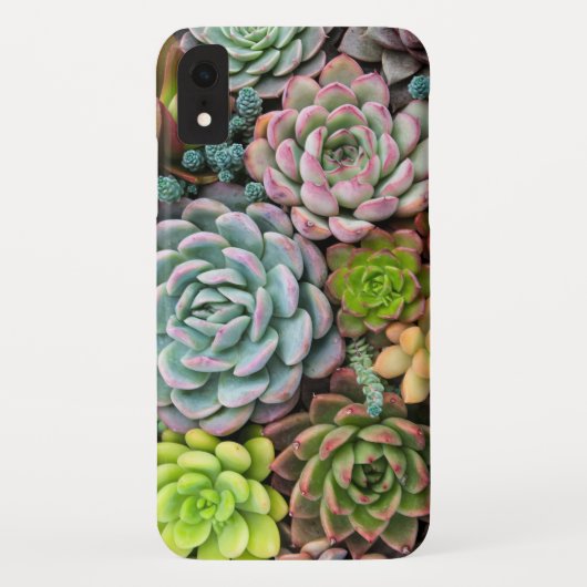Coques Case-Mate iPhone Cactus Succulents cas de téléphone (Dos)