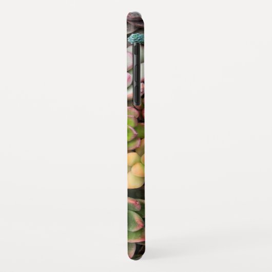 Coques Case-Mate iPhone Cactus Succulents cas de téléphone (Dos/Gauche)