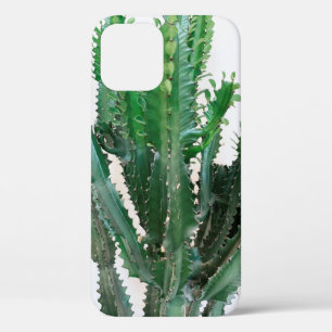 Case-Mate iPhone Case Cactus vert sur arrière - plan blanc.