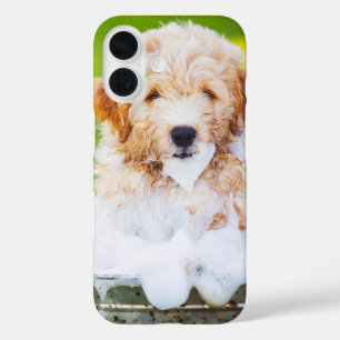 Coques iPhone 16 Cadeau de souvenir de photo de compagnie personnal