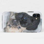 Coques Case-Mate iPhone Caisse de deux carlins (Dos (Horizontal))