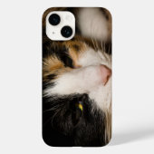 Coques Case-Mate iPhone Calico Face (Verso)