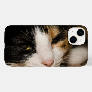 Coque Pour iPhone 14 Calico Face