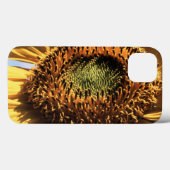 Coques Case-Mate iPhone Californie, A Mammoth Sunflower (Helianthus) 1 (Verso (horizontal))