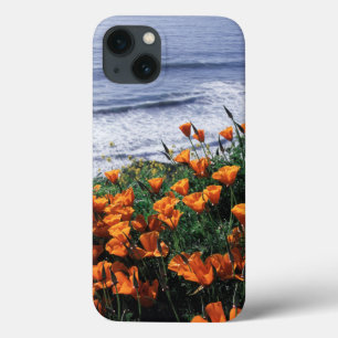 Coques Pour iPhone Californie, côte de Big Sur, pavot de Californie